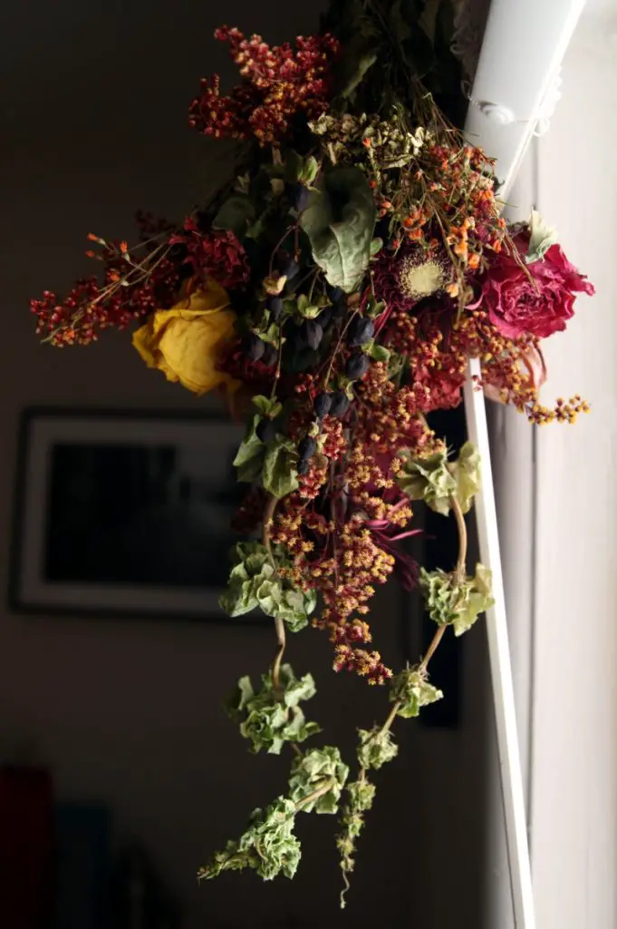 dried flowers in wall decoration