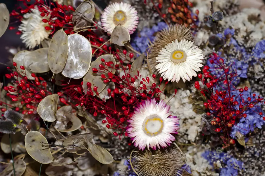 dried flowers in decoration